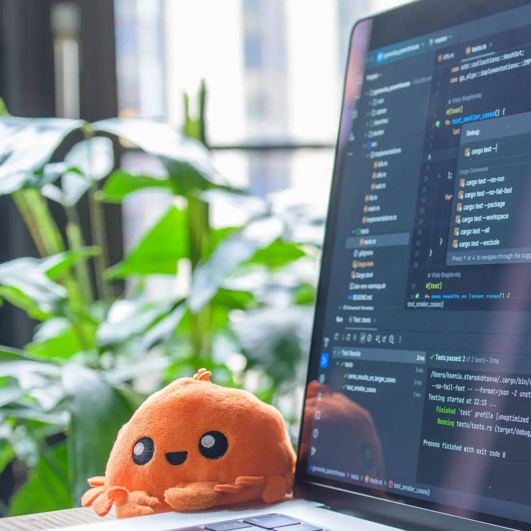 Web developing